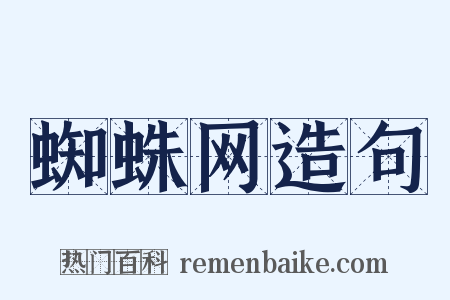 蜘蛛网造句是什么意思的图片